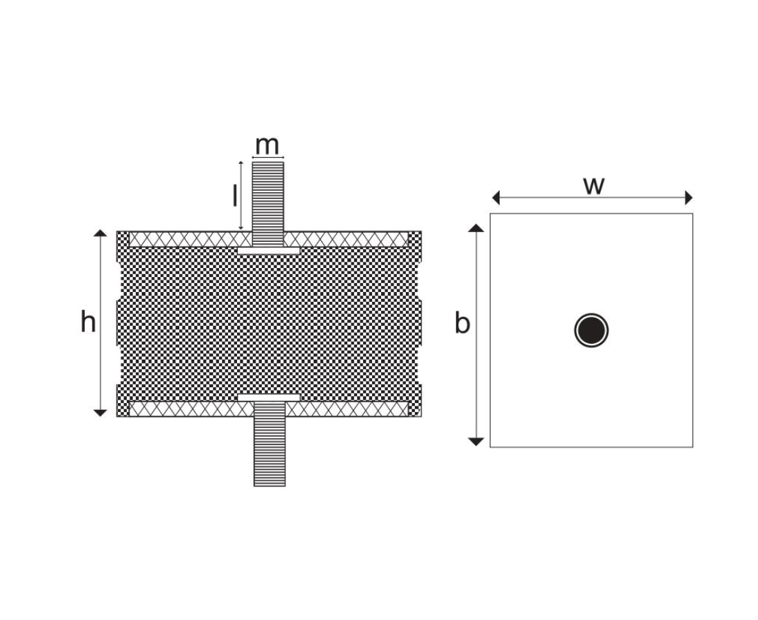 Image module