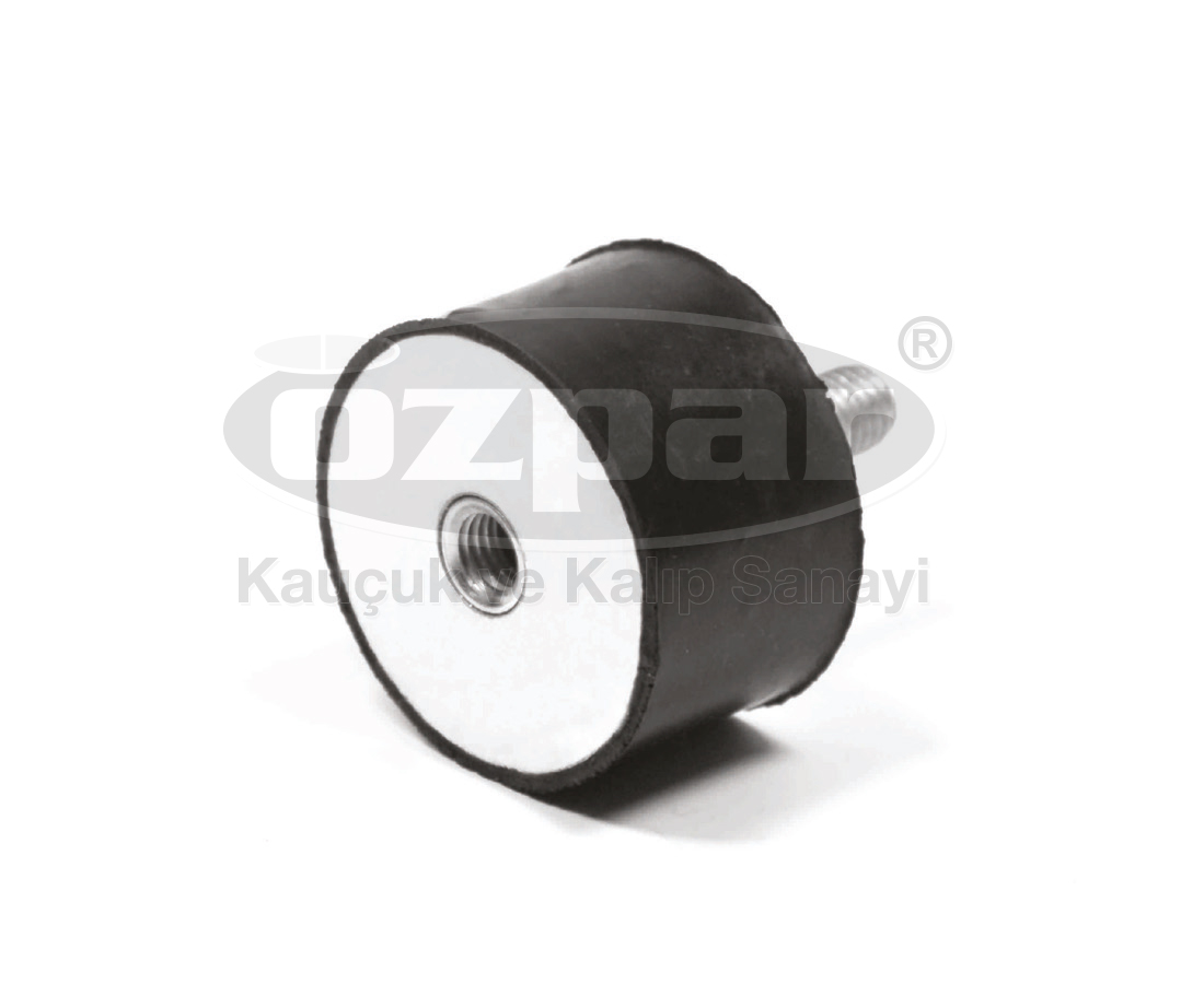 Image module
