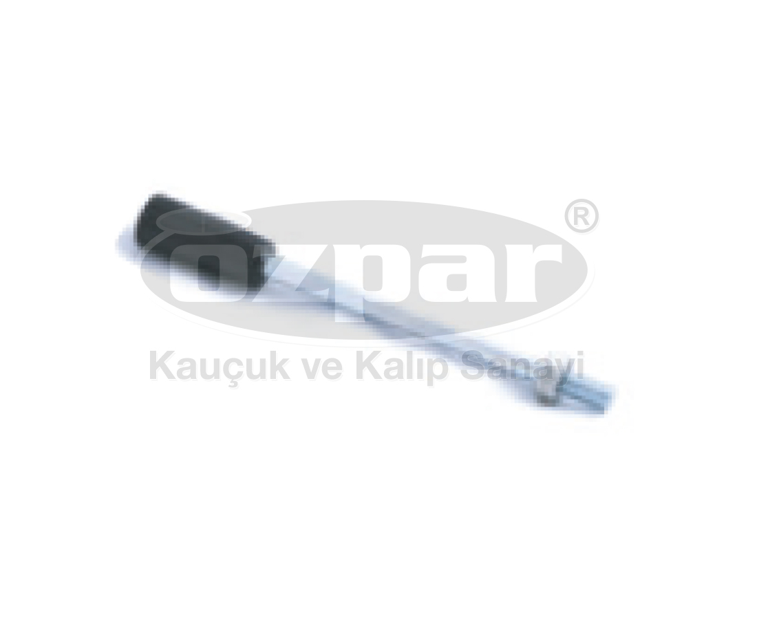 Image module