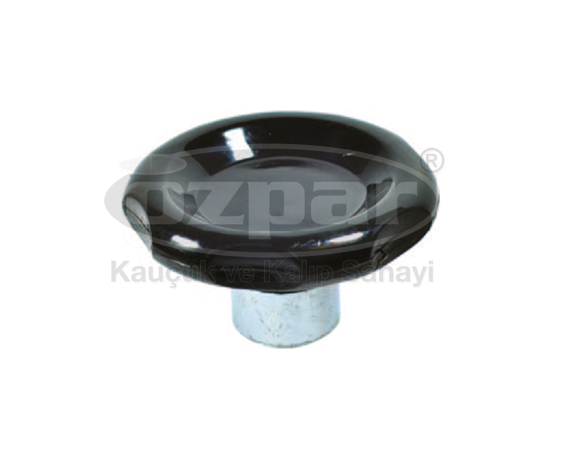 Image module
