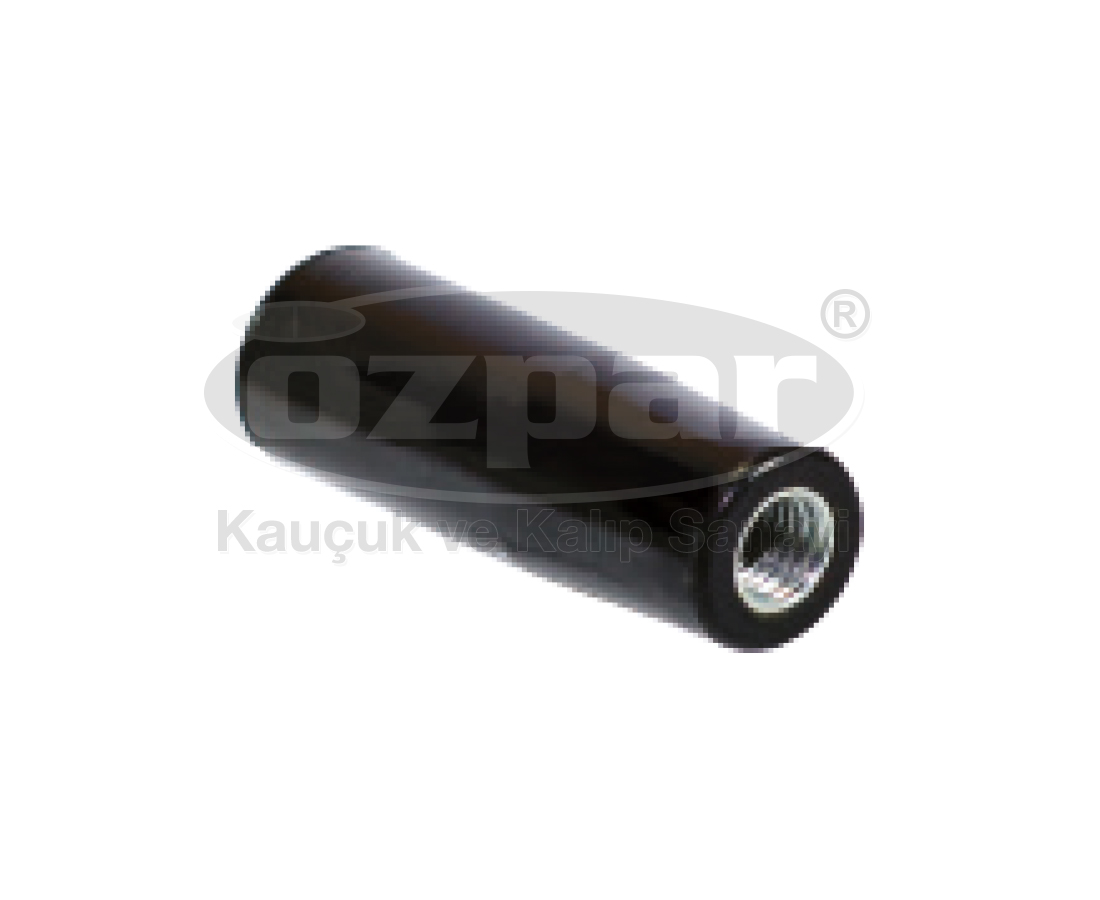 Image module